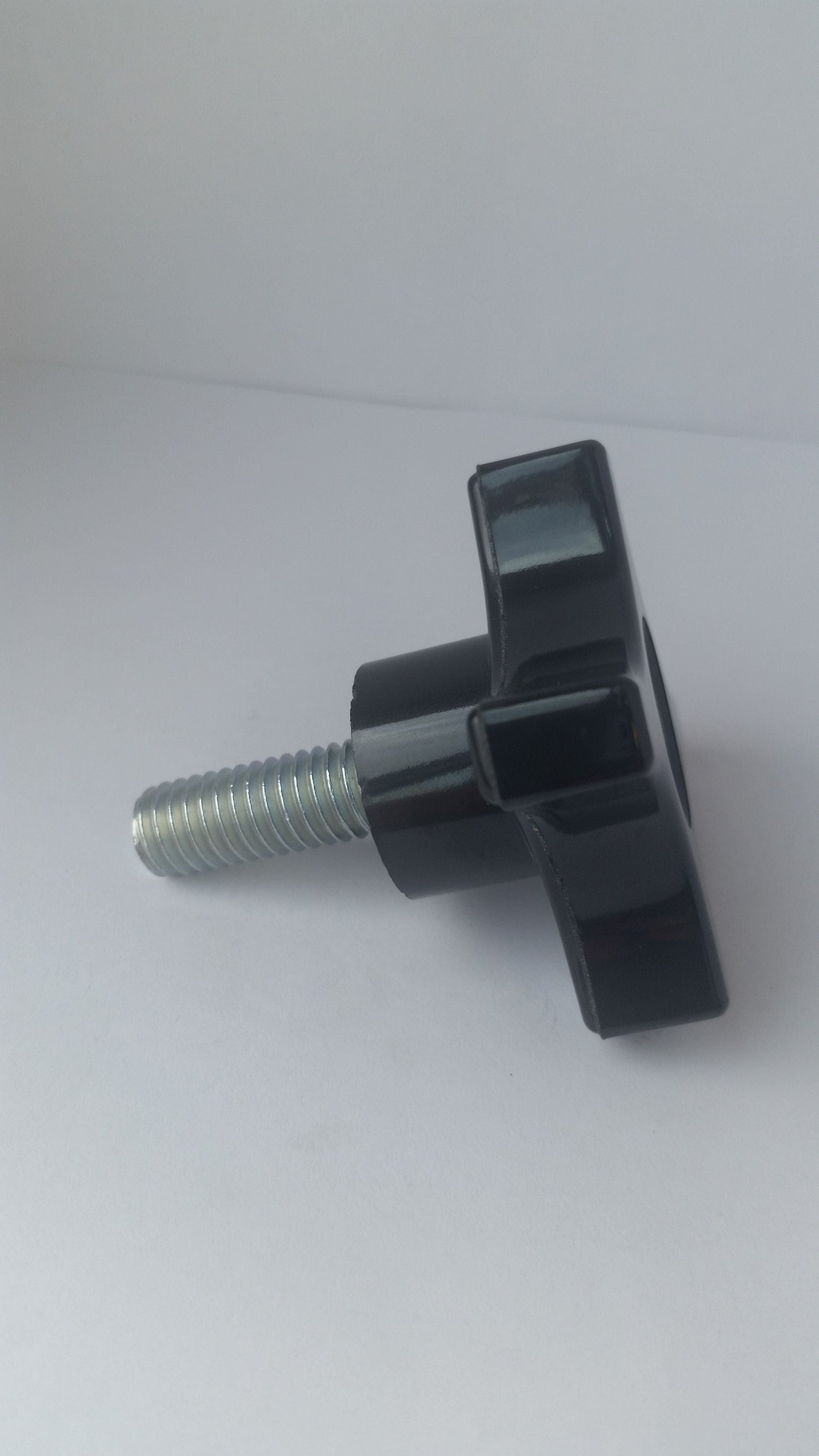 Blade Guard Clamp Screw